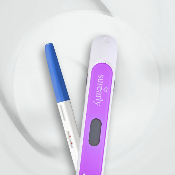 الاخصاب و الحمل